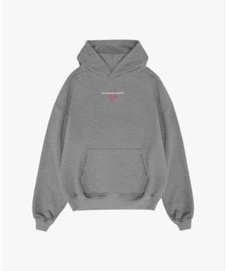 SWEATSHIRT TRAVIS GENESIS GREY